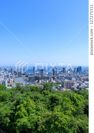 Early summer cityscape of Kobe (Chuo-ku, Kobe, Hyogo Prefecture) 127275311