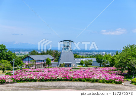 春季：宮城縣北部伊呂間町牡丹節 127275578