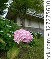Castle and hydrangea Castle and hydrangea 127275610