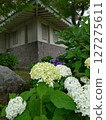 Castle and hydrangea Castle and hydrangea 127275611