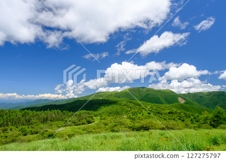The vast grassland seen from the plateau The vast grassland seen from the plateau 127275797