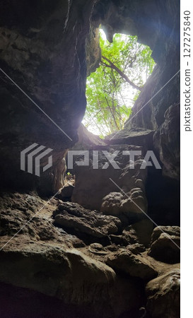 Inside a Cave Looking Up at Sunlight and Trees Inside a Cave Looking Up at Sunlight and Trees 127275840
