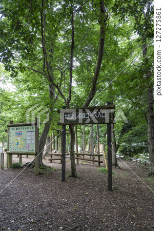 運動形象 127275861