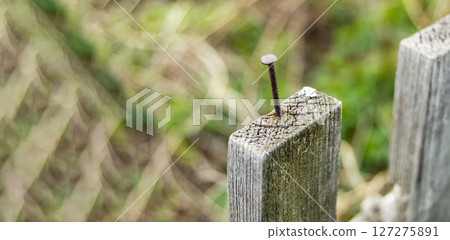 Close-up of an old wooden fence with a nail sticking out, outdoors on a summer day Close-up of an old wooden fence with a nail sticking out, outdoors on a summer day 127275891