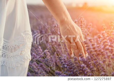 Lavender Field Woman Hand Touching Sunset: Summer Relaxation, Provence, France 127275897