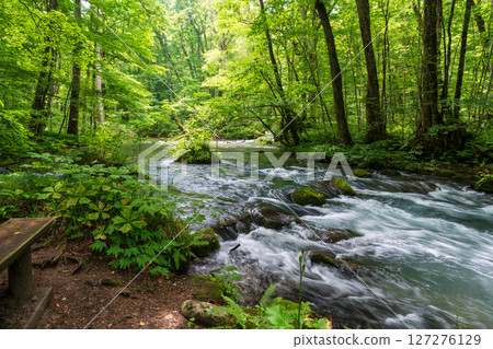 Oirase Gorge in summer, wooden picnic table and benches Oirase Gorge in summer, wooden picnic table and benches 127276129