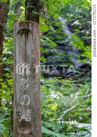 The Oirase Gorge in summer, with the Kudan Falls flowing in staircases down the black rock face 127276153