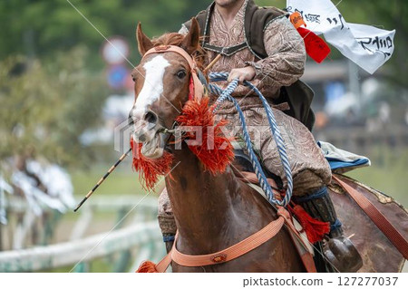 相馬野馬追：福島縣南相馬市的裝飾馬 127277037