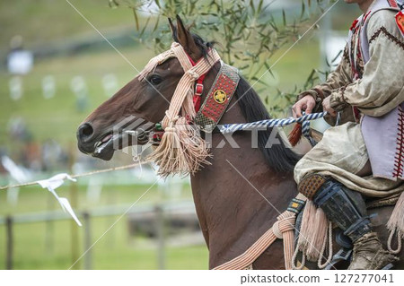 Soma Nomaoi: Decorated Horses, Minamisoma City, Fukushima Prefecture 127277041