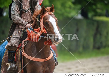 Soma Nomaoi: Decorated Horses, Minamisoma City, Fukushima Prefecture 127277045