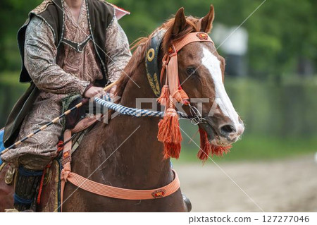 Soma Nomaoi: Decorated Horses, Minamisoma City, Fukushima Prefecture 127277046