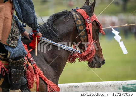 Soma Nomaoi: Decorated Horses, Minamisoma City, Fukushima Prefecture 127277050