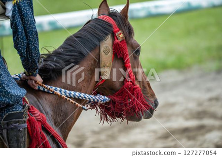 Soma Nomaoi: Decorated Horses, Minamisoma City, Fukushima Prefecture Soma Nomaoi: Decorated Horses, Minamisoma City, Fukushima Prefecture 127277054