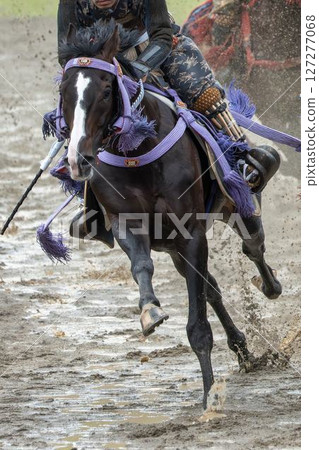 Soma Nomaoi: Decorated Horses, Minamisoma City, Fukushima Prefecture Soma Nomaoi: Decorated Horses, Minamisoma City, Fukushima Prefecture 127277068