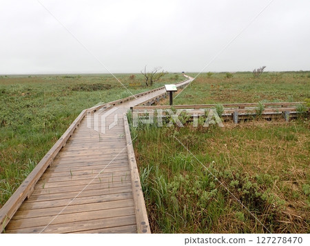 Wilderness Walking Trail 127278470