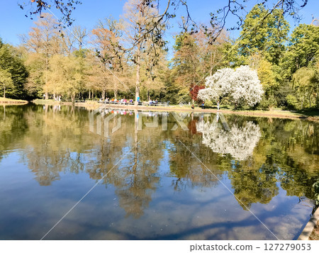 A pond with a tree in the background A pond with a tree in the background 127279053