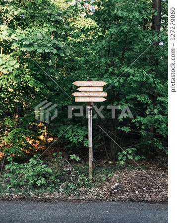 A signpost with four arrows pointing in different directions A signpost with four arrows pointing in different directions 127279060