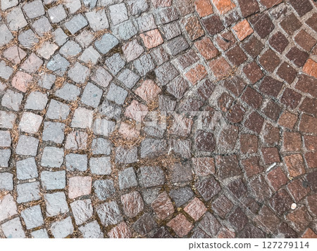 A brick walkway with a wet surface 127279114