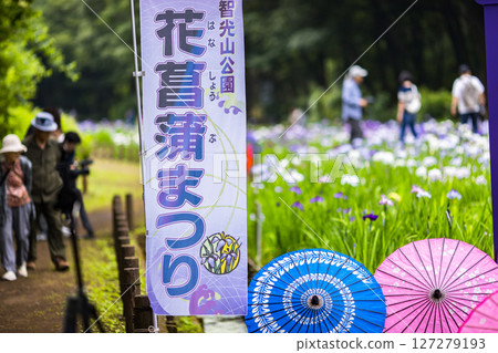 埼玉縣狹山市知古山公園菖蒲節 埼玉縣狹山市知古山公園菖蒲節 127279193