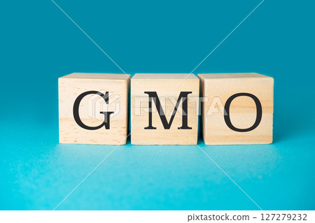 The image is a wooden block with the letters GMO on it 127279232
