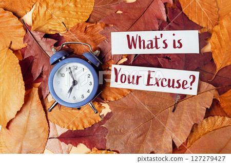 Clock is on a pile of leaves with a sign that says What's is your excuse Clock is on a pile of leaves with a sign that says What's is your excuse 127279427