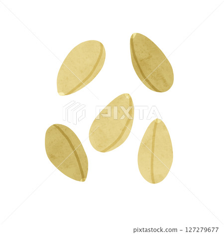 White sesame watercolor hand-drawn illustration 127279677