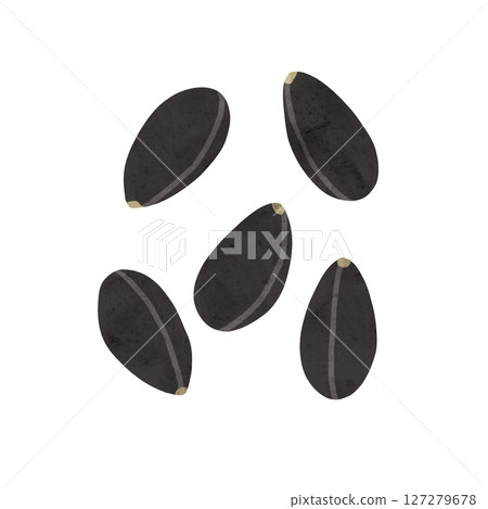 黑芝麻水彩手繪插畫 127279678