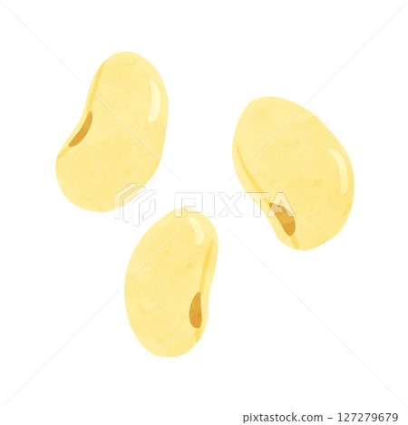 黃豆水彩手繪插畫 127279679