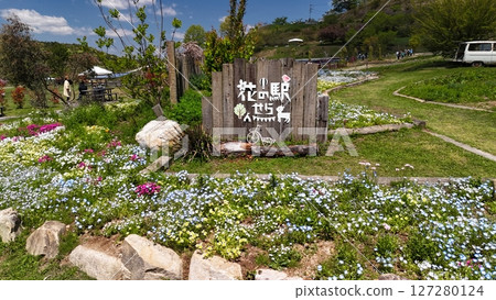 [Flower Station Sera_Sera Lily Garden_Flower Picture [Otani Player]] Drone Aerial Photography_SERAHANAME_No02 127280124