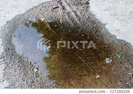 There is a puddle of water situated on the ground reflecting a tree There is a puddle of water situated on the ground reflecting a tree 127280289