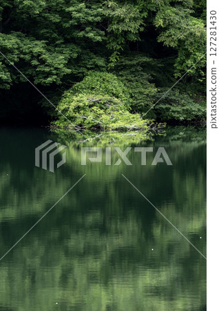 綠樹環繞的平靜的草木湖面 綠樹環繞的平靜的草木湖面 127281430