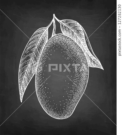 Mango with leaves chalk sketch. 127282130