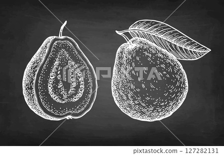 Guava with and half chalk sketch 127282131