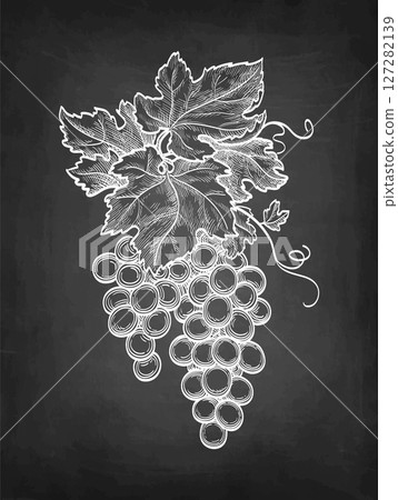 Bunch of grapes chalk sketch. Bunch of grapes chalk sketch. 127282139