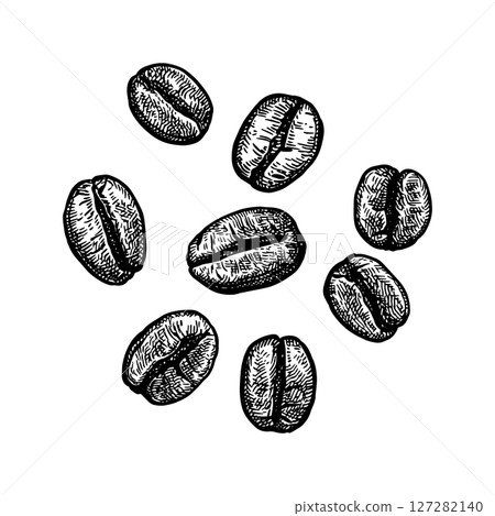 Coffee beans ink sketch. 127282140