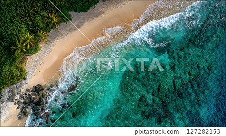 Spectacular aerial shot of a remote beach where the tropical sea meets the jungle 127282153