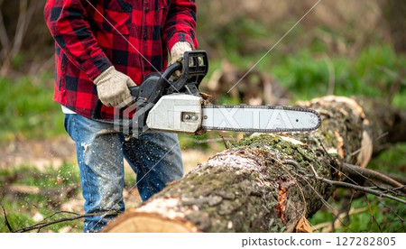 一個人用電鋸砍倒一棵樹 127282805