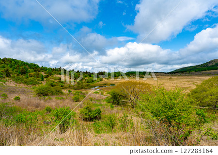 長野縣八島原濕地的風景 長野縣八島原濕地的風景 127283164