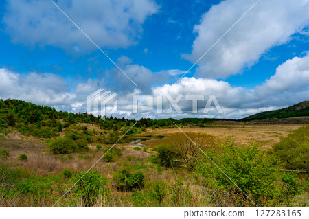 長野縣八島原濕地的風景 長野縣八島原濕地的風景 127283165