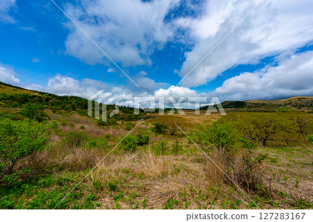 長野縣八島原濕地的風景 長野縣八島原濕地的風景 127283167