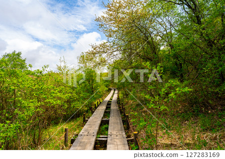 Scenery of the Yashimagahara Marsh in Nagano Prefecture Scenery of the Yashimagahara Marsh in Nagano Prefecture 127283169