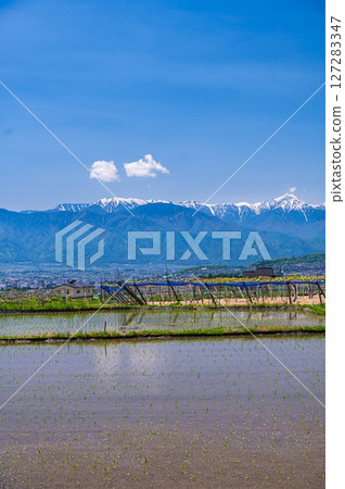Rice planting season and the Northern Alps Rice planting season and the Northern Alps 127283347