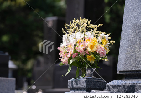 Buddha flower 127283349