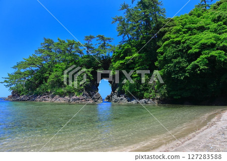 [Fukui Prefecture] Sunny Shiroyama Park (Meikyo-dong) 127283588