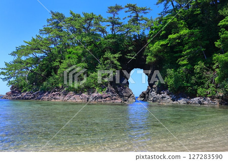 [Fukui Prefecture] Sunny Shiroyama Park (Meikyo-dong) 127283590