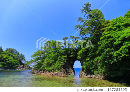 [Fukui Prefecture] Sunny Shiroyama Park (Meikyo-dong) 127283595