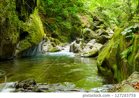 新綠時節的西澤溪蛙岩 新綠時節的西澤溪蛙岩 127283758