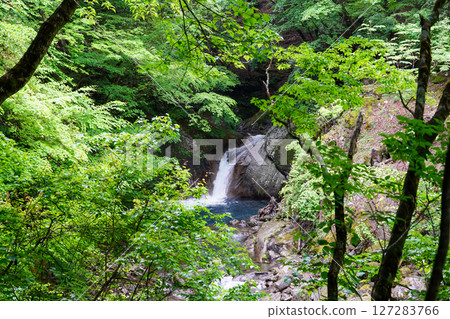 Fudo Falls in Nishizawa Valley in the season of fresh greenery Fudo Falls in Nishizawa Valley in the season of fresh greenery 127283766