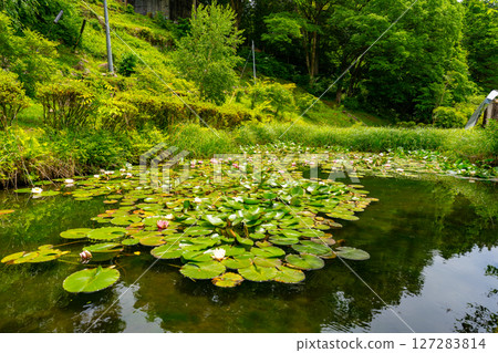 Scenery of Nezame-no-Toko in Nagano Prefecture Scenery of Nezame-no-Toko in Nagano Prefecture 127283814
