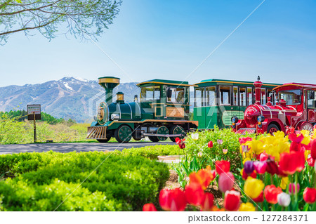 Hirugano Plateau Pastoral Village (Gujo City, Gifu Prefecture) 127284371